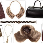 Autumnal Accessories